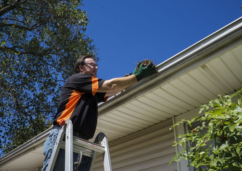 Gutter Maintenance in Spring