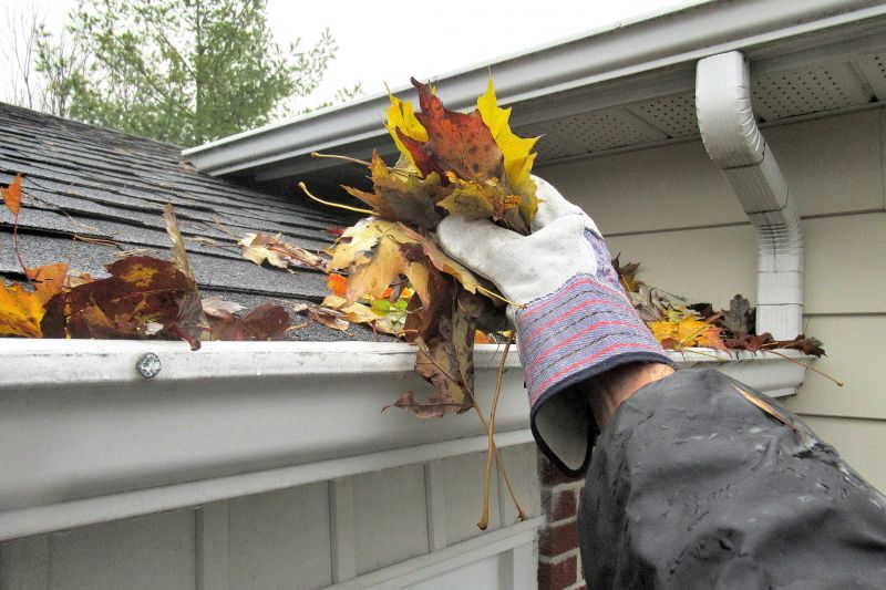 Fall Gutter Service